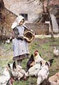 Feeding the Chickens
